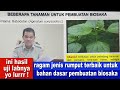 Hasil uji lab : Ini ragam jenis rumput terbaik untuk bahan dasar pembuatan biosaka