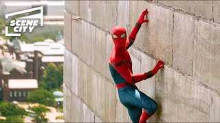 Spider-Man Homecoming: Peter Rescues His Classmates in Washington (Tom Holland, Zendaya Scene)