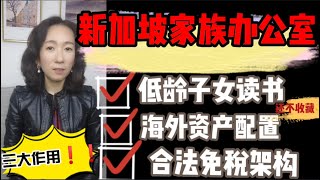 【新加坡移民】和【新加坡家族办公室】新加坡家办三大作用：低龄子女新加坡读书，资产海外配置，合法免税架构！【小飞象移民】加微信免费咨询更多新加坡家办，家族信托架构服务，