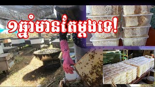 ១ឆ្នាំមានម្តងទេ​ក្បាលទឹកផ្កាគ