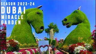 DUBAI MIRACLE GARDEN | Tips and Guide in Visiting the World's Largest Natural Garden