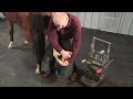 farrier hoof trim tools u0026 process footpro information series