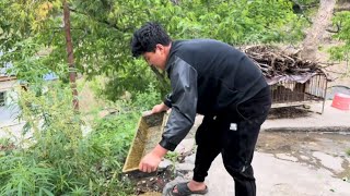 小弟修猪圈，下雨的话总有雨水漏下来，湿了猪不能睡，找个时间修一下才行了【凉山小弟】