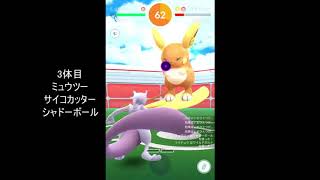 レイド3 アローラライチュウソロ①ボルトチェンジ×ワイルドボルト【ポケモンGO】