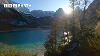 10 Hours of Relaxing Nature Scenes | BBC Earth