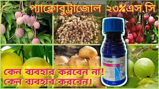 Cultar | paclobutrazol 23%Sc কখন কিভাবে কি পরিমান ব্যবহার করবেন।