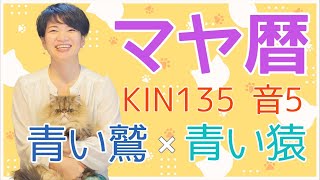 マヤ暦【KIN 135】青い鷲 青い猿 音5 「オンオフの切り替えで意識していること」開運ポイント