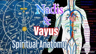 Nadis \u0026 Vayus / Energy Pathways and Different Energies in Body/ Spiritual Science/ Neel Bhairav