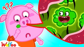 Why Are There Boogers in the Nose? - Wolfoo Educational Videos for Kids 🤩 @WolfooCanadaKidsCartoon