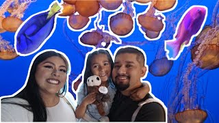 7th Birthday Celebration!! Went to Monterey Bay Aquarium | MJE Vlogs