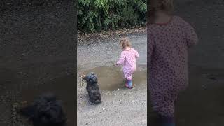 Pure Happiness: Toddler Splashes About In A Puddle! 💕💧