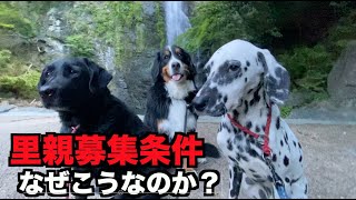 保護犬の里親募集にはなぜ条件をつけるのか？