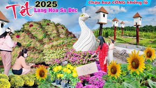 Làng hoa sa đéc 2025 Chậu hoa CÔNG khổng lồ, vườn nho nhiều hoa giá rẻ đẹp bán tết Ất Tỵ