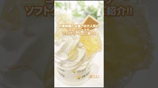 【大人気!!】コムハニーが丸ごと食べれるソフトクリーム？！#巣房蜜 #コムハニー  #ソフトクリーム  #甘い  #asmr  #杉養蜂園 #SUGI #養蜂 #蜂の巣 #CombHoney