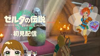 ゼルダの伝説～TEARS OF THE KINGDOM～#10