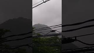 ウェザーリポート動画0523「雨で朝日見えず」@鳥取市　6時6分頃