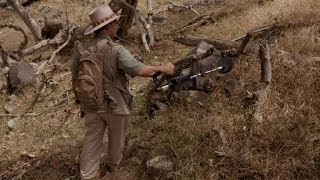 A Secret Report Reveals the Bakersfield Crash Truth