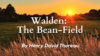 The Bean Field from Walden by Henry David Thoreau: English Audiobook with Classic Text on Screen