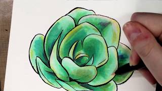 Markering a Succulent with Copics Tutorial