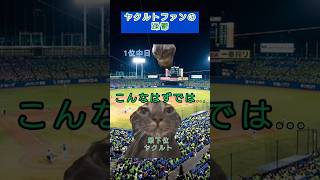 [猫ミーム]ヤクルトファンの心情変化#猫ミーム #プロ野球 #cat #中日ドラゴンズ #東京ヤクルトスワローズ