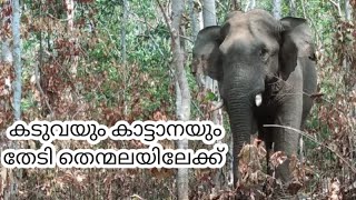 കടുവയും കാട്ടാനയും തേടി തെന്മലയിലേക്ക് Thenmala  ecotourism  l തെന്മല പോകുന്നതിനു മുമ്പ് ഇത് അറിയുക