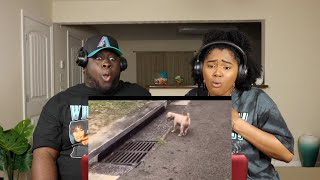Tony Baker Animal Voiceover pt 12 | Kidd and Cee Reacts