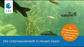 Die Unterwasserwelt in neuem Glanz