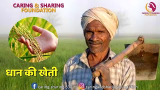 धान की खेती || dhan ki khet || Caring \u0026 Sharing Foundation || Jamshedpur