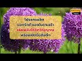 โปรแกรมจิตบอกรักตัวเองในยามเช้า ep.027 positive energy podcast