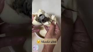 أحلى فطاير مقرمشة ممكن تجربها 😍🫣🦀