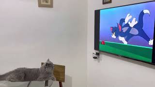 Kitkat, Tom & Jerry