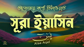 সূরা ইয়াসিন এর মনোমুগ্ধকর তেলাওয়াত প্রতিদিন সকালে শুনুন l Yaseen l Recited by Alaa Aqel