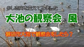 磐田大池の野鳥観察　　身近な自然の生き物