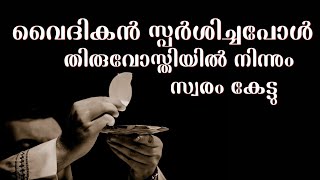 The Eucharistic miracle of Alberto in Canada in 1946 |malayalam
