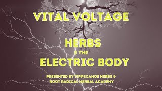 Vital Voltage - Herbs and the Electric Body