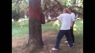 形意拳拍打功 李春光 講解 #kungfu #martialarts