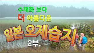 고산습지의 극치_오제습지 트레킹 2부_야생화_천상화원_calmcation