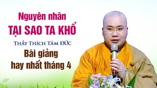 Nguyên nhân TẠI SAO TA KHỔ - Thầy Thích Tâm Đức