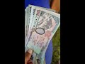 nepali note 1 thousand shorts