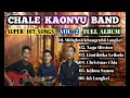 Super Hit Songs | Vol - 2 | Full Album | Chang Naga | Chale Kaonyu Band.