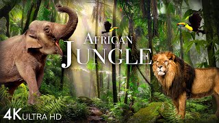 African Jungle 4K - The World's Second-Largest Tropical Rainforest | Scenic Relaxation Film