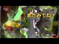 【遊戯王ads】甲虫装機の初動パターン紹介