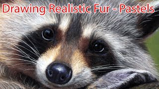 Mastering Fur Details With Pastel Pencils - Jason Morgan Wildlife Art Tutorial | JasonMorgan.co.uk