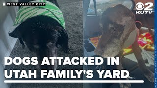 Utah family claims city won't help with brutal attacks by neighbor's dog