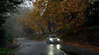 Driving through the Australian mountain village of Dandenong in the rain 【4K】