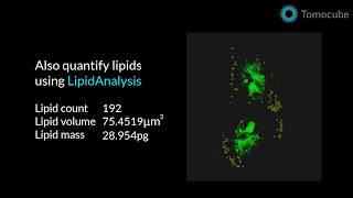 Label-free imaging and quantification of lipids in live cells | Tomocube