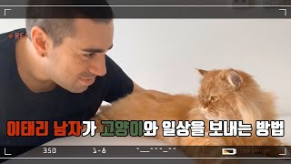 집에만 있을때 그의 고양이와 보내는 일상 part.1