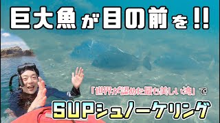 【大人の自由研究】九十九島の海の中、どうなってるの？？（佐世保市 西海国立公園 九十九島）