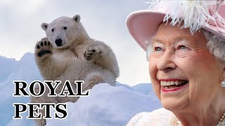 The Weird World of Royal Pets