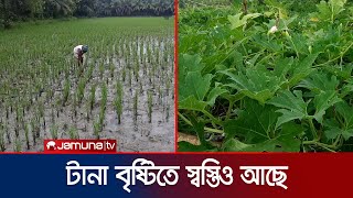 নগরে দুর্ভোগ আনলেও বৃষ্টি স্বস্তি এনেছে চাষীদের মাঝে | Rain | Crops